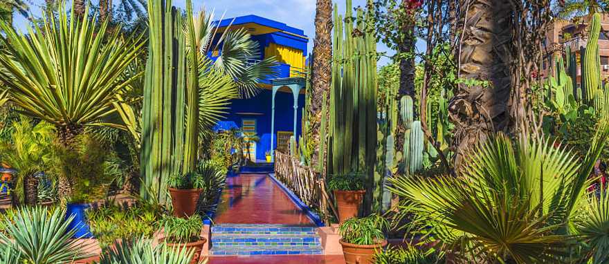 Le Jardin Majorelle, amazing tropical garden in Marrakech, Morocco.