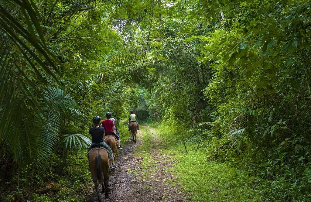 Horseback riding in Belize