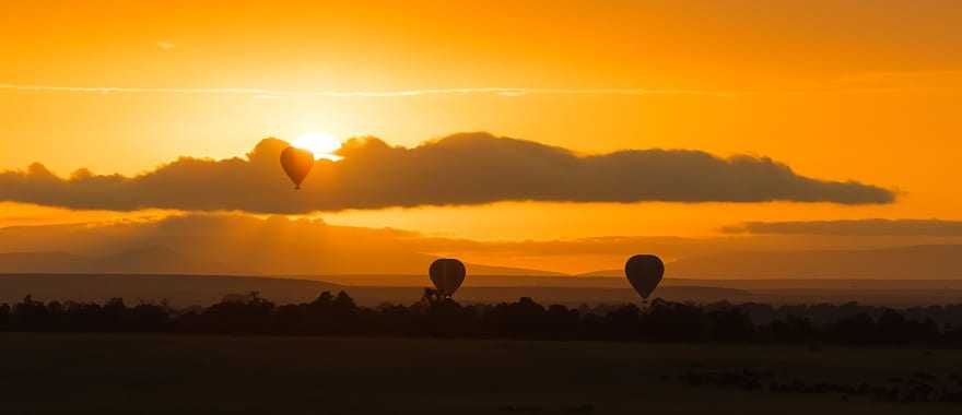 Hot air balloons drifting over the Masai Mara Savannah at dawn 