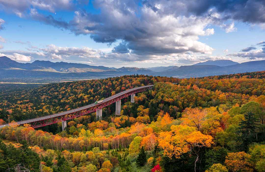 Fall foliage in Hokkaido, Japan