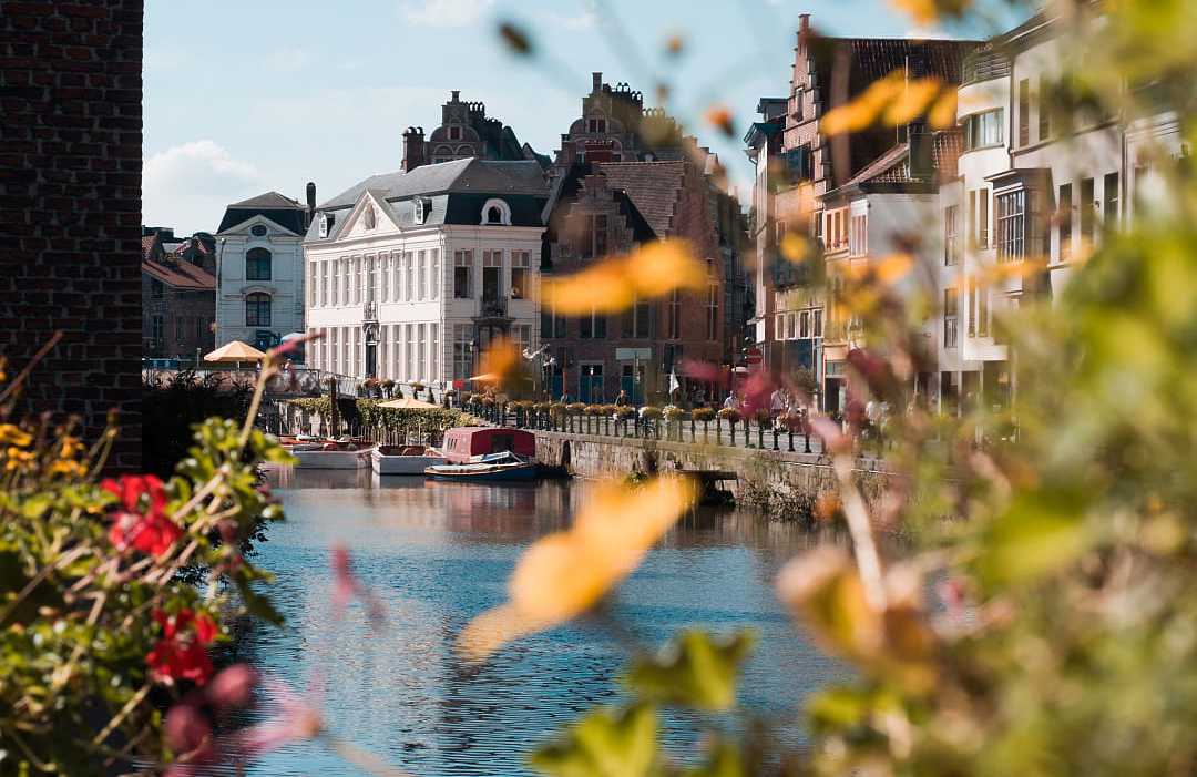 Sunlit historic buildings along a calm canal with flowers foreground.