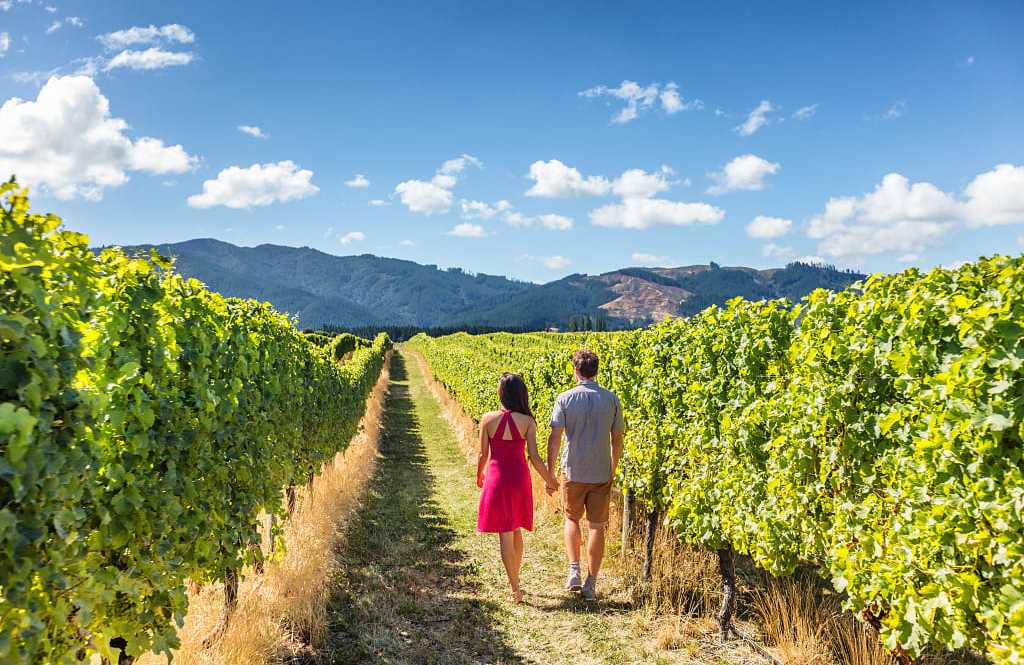 Couple exploring vineyards in New Zealand Couple exploring vineyards in New Zealand