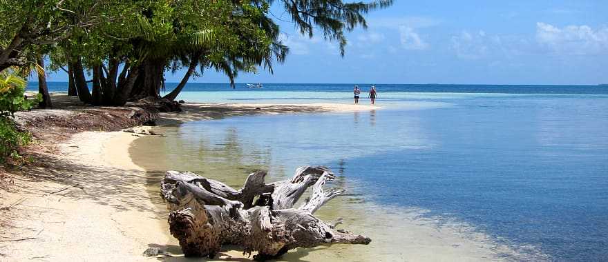 Beach on South Water Caye in Belize