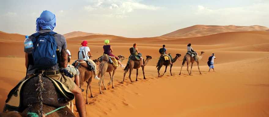 Camel caravan in the Sahara Desert, Morocco