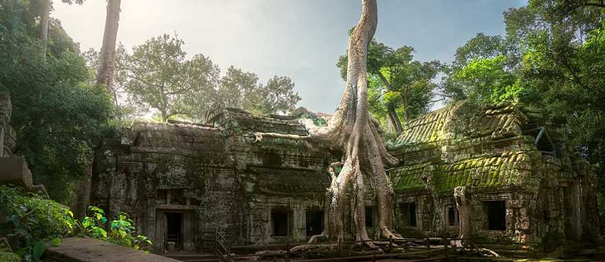 Ta Prohm temple located in the Angkor Wat temple area in Siem Reap, Cambodia. Ta Prohm temple located in the Angkor Wat temple area in Siem Reap, Cambodia.