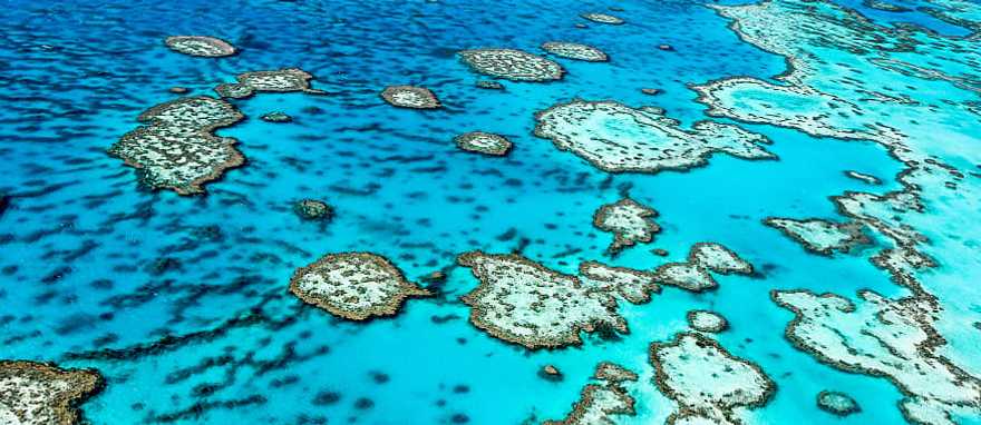 The Great Barrier Reef in Queensland, Australia