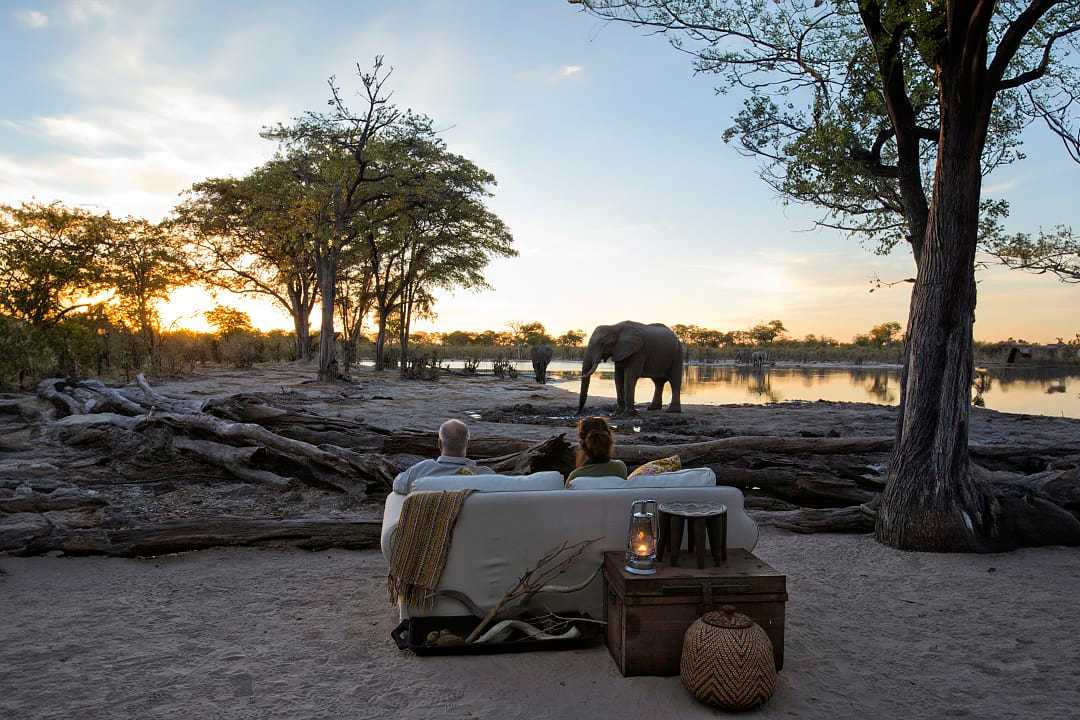 Couple observing an elephant at a luxury lodge in Botswana