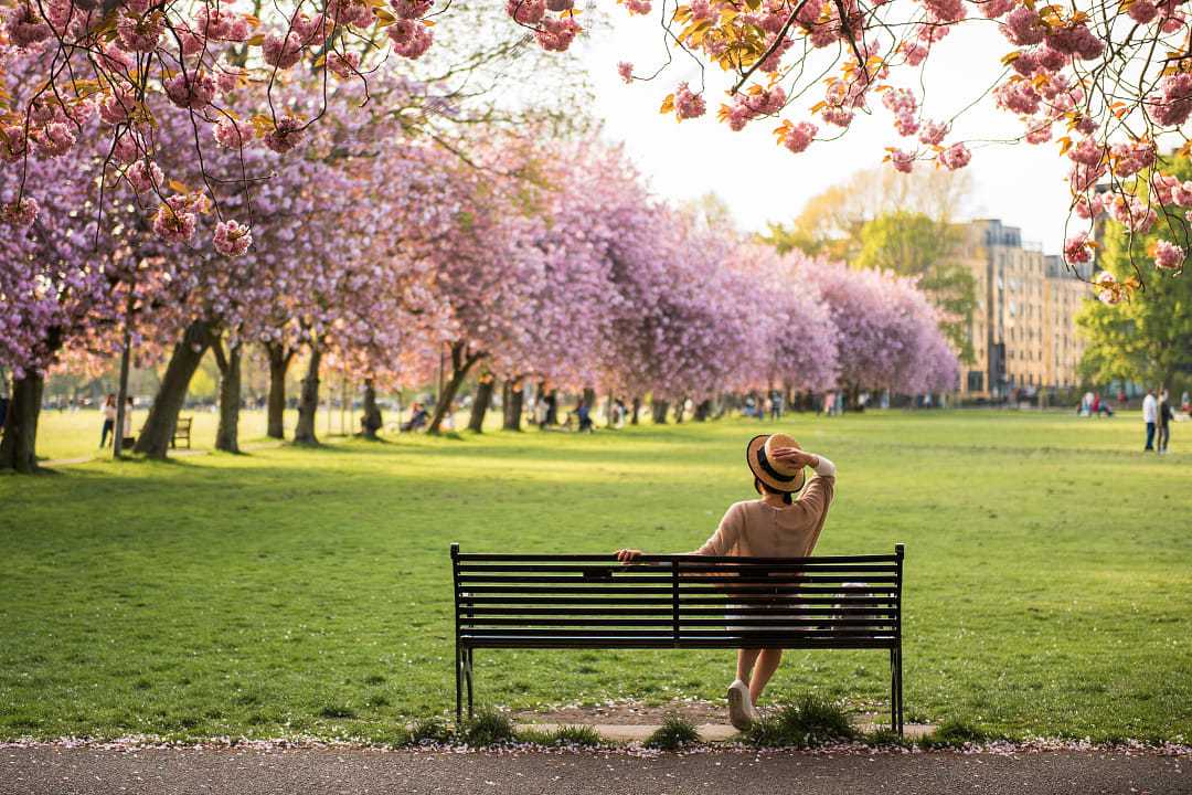 Park in Edinburgh, Scotland during spring