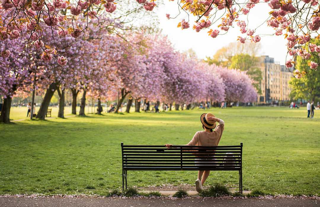 Park in Edinburgh, Scotland during spring