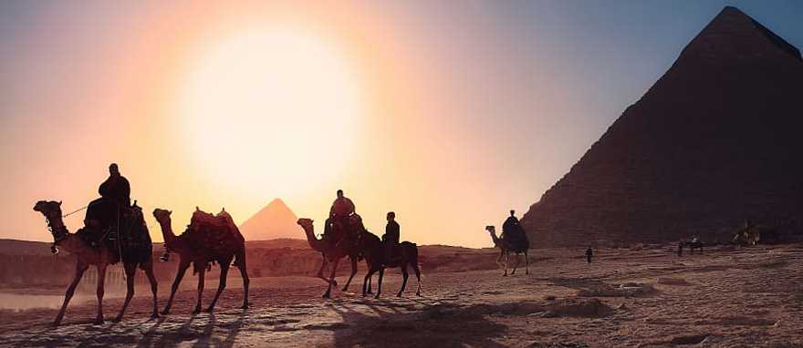 Camel caravan in Giza at sunset, Egypt Camel caravan in Giza at sunset, Egypt