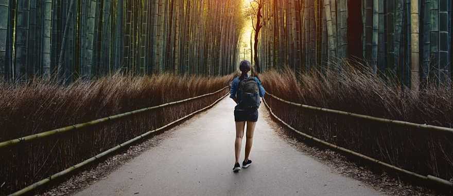 Arashiyama bamboo forest in Kyoto, Japan