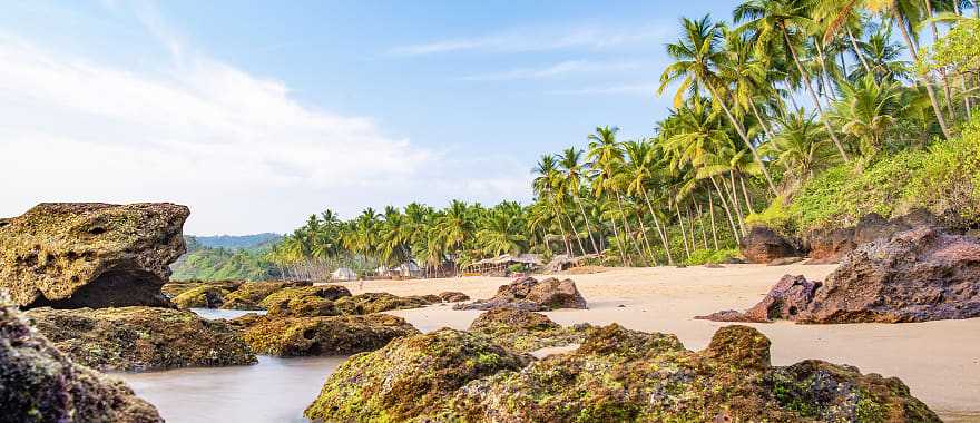 Relaxing beach flanked by palm trees and boulders at sunset in Varkala, Kerala, India.