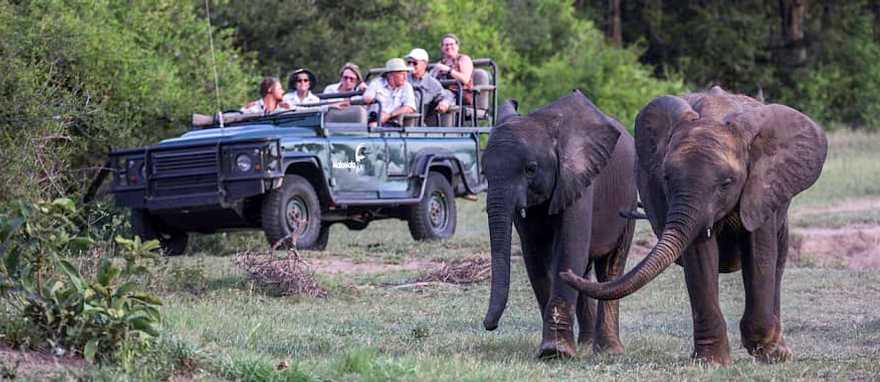 Game drive in MalaMala Game Reserve.  Photo courtesy of MalaMala Game Reserve