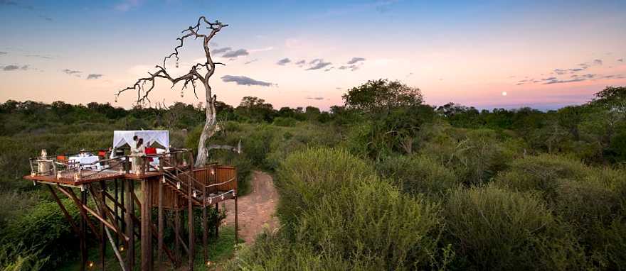 Honeymoon couple at Lion Sands Chalkley Treehouse, Sabi Sands, South Africa