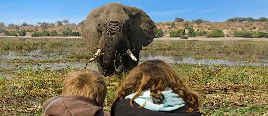 Two kids observing an elephant in Chobe National Park, Botswana