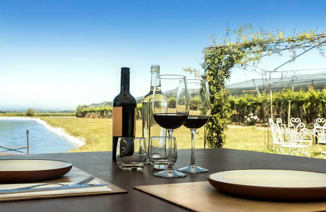 Wine in the Mendoza vineyards. Wine in the Mendoza vineyards.