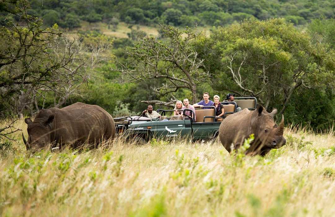 Phinda Private Game Reserve.  Photo courtesy of South Africa Tourism Group of travelers observing two rhinos from a jeep while on african safari game drive in South Africa