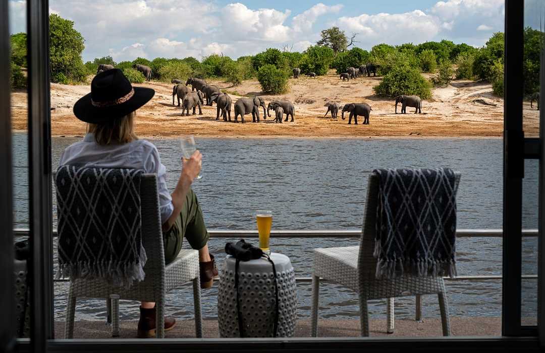 Woman sitting on the balcony of boat watching elephants on the river bank 