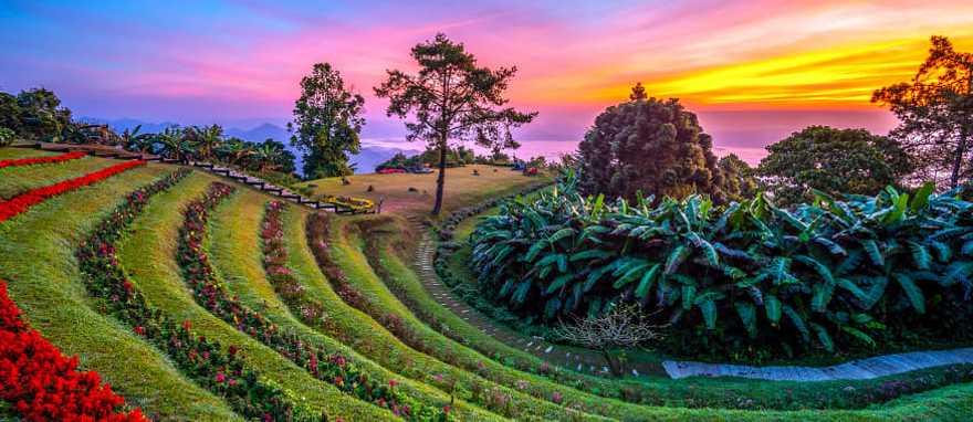 Colorful sunrise at Huai Nam Dang National Park with rows of flowers and mountains in the background, Thailand Colorful sunrise at Huai Nam Dang National Park with rows of flowers and mountains in the background, Thailand
