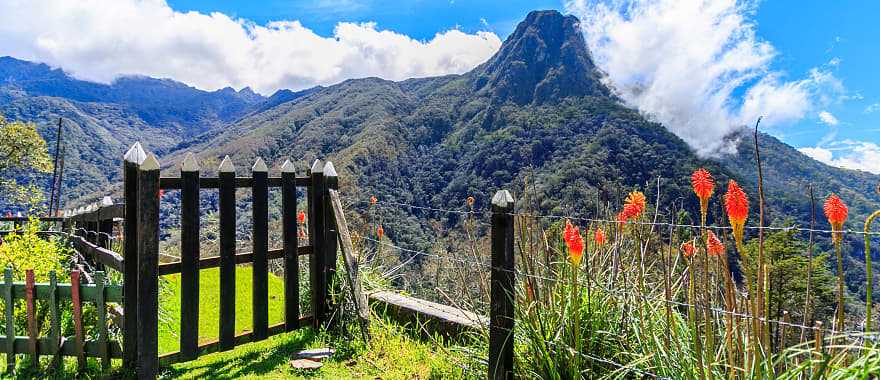 Cocora Valley in Colombia