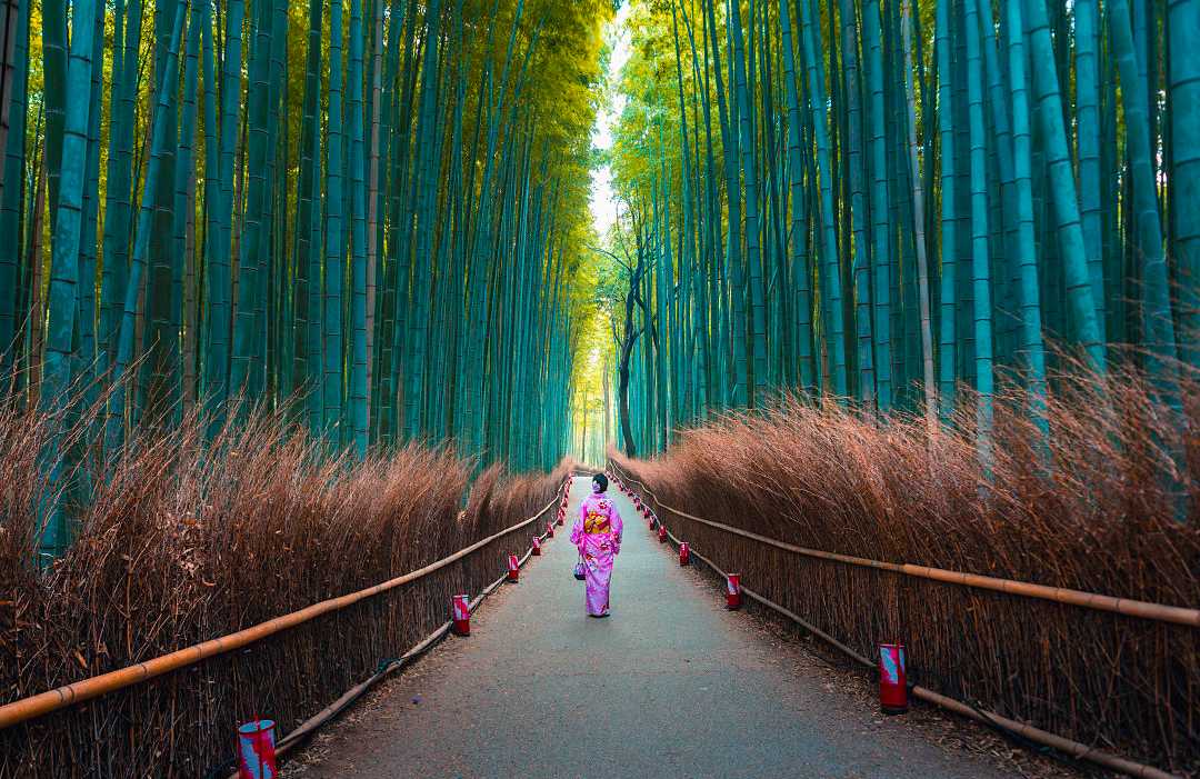 The Arashiyama bamboo forest in Kyoto