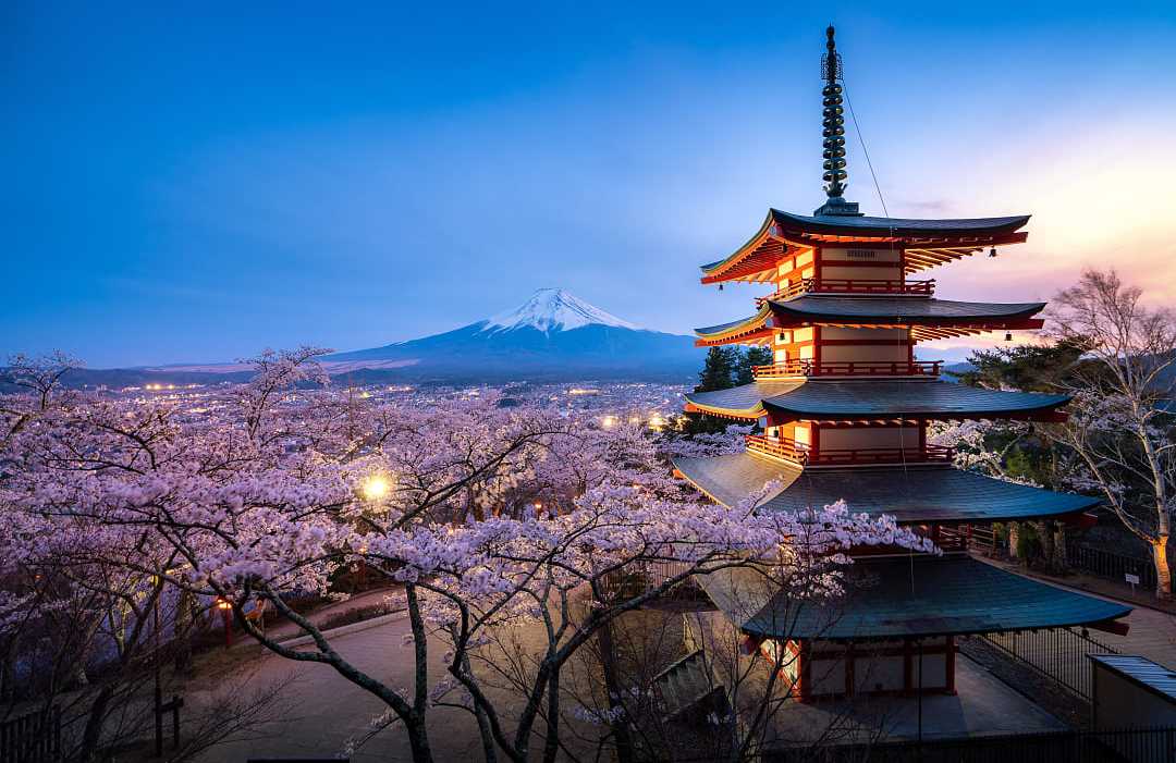 Fujiyoshida, Japan Chureito pagoda and Mt. Fuji in the spring with cherry blossoms during twilight in Japan