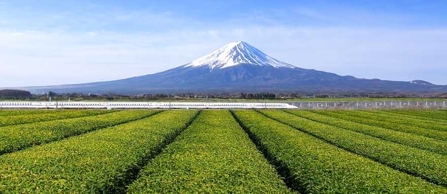 The Shinkansen (Bullet train) with Mt. Fuji in the background