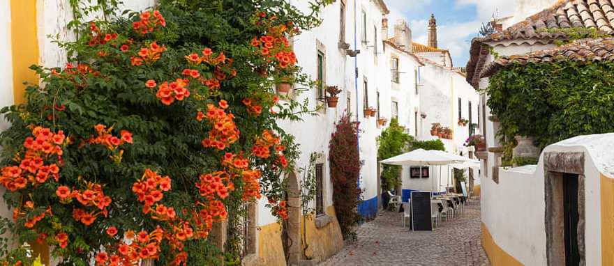 Typical street of Obidos a medieval fortified town in Portugal Typical street of Obidos a medieval fortified town in Portugal