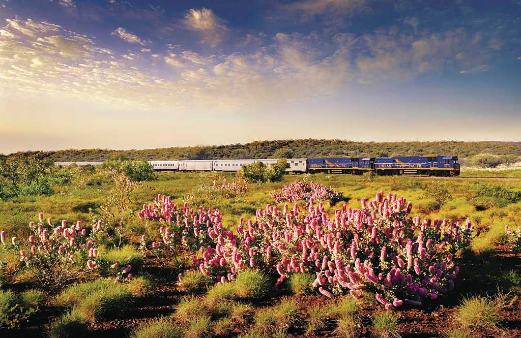 The Indian Pacific in Australia. Photo courtesy Great Southern Rail