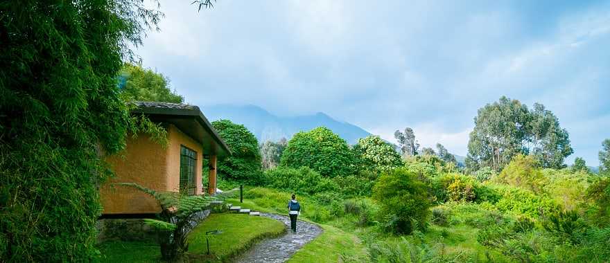 Volcanoes National Park in Rwanda